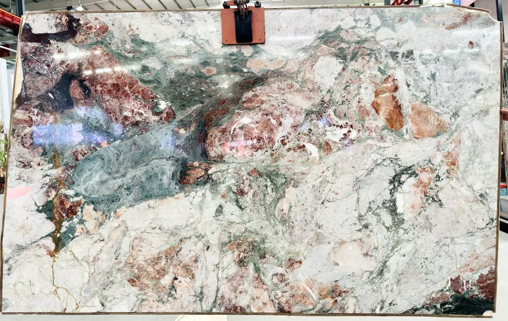 Image 8